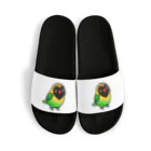 Cody the LovebirdのChubby Bird キエリクロボタンインコ Sandals