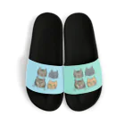 miku'ꜱGallery星猫の猫ちゃんゆるフェイス Sandals