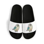 Cody the LovebirdのChubby Bird　ウロコインコ　ターコイズシナモン Sandals