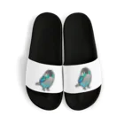 Cody the LovebirdのChubby Bird ウロコインコ　ターコイズ Sandals