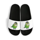 Cody the LovebirdのChubby Bird イワウロコインコ Sandals