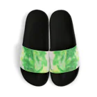 猫鯵のLime Sandals