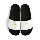 サ    とう®のPEANUTS Sandals