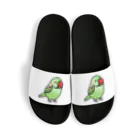 Cody the LovebirdのChubby Bird オオホンセイインコ Sandals