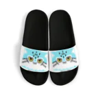 多喜のマヌルちゃんフェイス(水色） Sandals