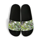 ambiemoのblueberry Sandals