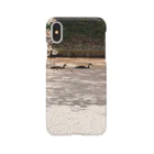 エアリエル@地球侵略中wのDucks proceed through the pink moat Smartphone Case