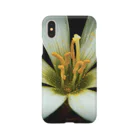 iPhoneケース専門店の花弁(White) Smartphone Case