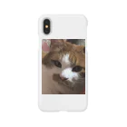 姫子の不機嫌な猫 Smartphone Case