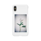 exoticの薔薇的な花 Smartphone Case