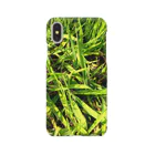 sisoの隠れてカエル Smartphone Case