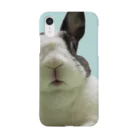 うさぎのきた道&の保護うさぎダイちゃんJブルー Smartphone Case