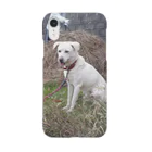 ちなおの我が家の愛犬　バンくん Smartphone Case