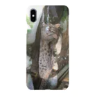 やまねこショップSUZURI支店のツシマヤマネコ　ナオさん Smartphone Case