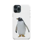 AAAstarsのペンギン Smartphone Case