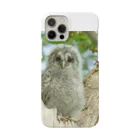 野鳥と犬の竃蔵屋(かまくらや)のふくろう Smartphone Case