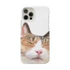 kihbouの縞三毛猫どーん Smartphone Case