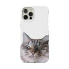 ねこがいるからがんばれる！のまんぷくちゃん Smartphone Case