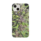 Master 黒崎の大麻a Smartphone Case