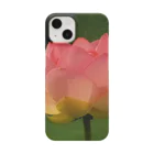 ＲＡＢＩＭＩＷの蓮の花 Smartphone Case