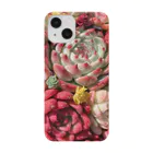 Echeveria_Masterの華やかなエケベリア Smartphone Case