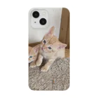 ANAROGUの可愛い猫 Smartphone Case