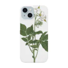 たくみのグッズショップのジャガイモ（Solanum tuberosum） Smartphone Case