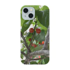 daikoku816のさくらんぼ🍒 Smartphone Case