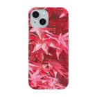 morinoyouseiの鮮やかなもみじ Smartphone Case