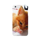 DTIの子猫 Smartphone Case