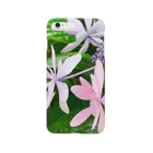 賽子の紫陽花 ピンク Smartphone Case