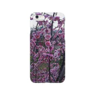 ichihashiのsakura Smartphone Case