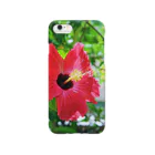 photocropの a hibiscus Smartphone Case