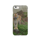 mokudairaのTiger in my hands Smartphone Case