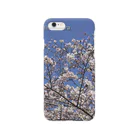 hiroki-naraの光景　sight0069　桜　2015_014　サクラ  Smartphone Case