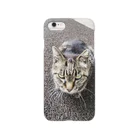 ラウローマウの野良猫1 Smartphone Case