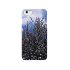 hiroki-naraの梅　ウメ　Japanese　apricot DATA_P_099　春　spring Smartphone Case