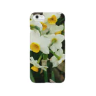 hiroki-naraの水仙　スイセン　DATA_P_100　春　spring Smartphone Case