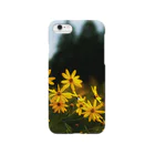 hiroki-naraの菊芋と樹木　DATA_P_139 tree Smartphone Case