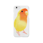 まめるりはことりのコザクラインコ　おすましルチノー【まめるりはことり】 Smartphone Case