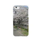 kurouのいまさら桜 Smartphone Case