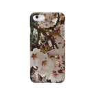 hiroki-naraの桜　サクラ　cherry blossom DATA_P_152　春　spring Smartphone Case