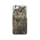 Hoot-Hootの博士のドヤ顔 Smartphone Case