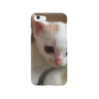 nagomiyoshiの産まれたての子猫 Smartphone Case