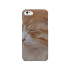 ｓａｋａｍｏ●┻┓vfk◆jfkの孤高の猫 Smartphone Case