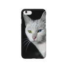 シッポ追いの猫写真店のオッドアイ Smartphone Case