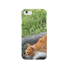 シッポ追いの猫写真店のロックオン！ Smartphone Case