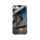 シッポ追いの猫写真店のなにかいいことない？ Smartphone Case