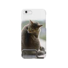 ハリネズミのけづくろいねこ Smartphone Case