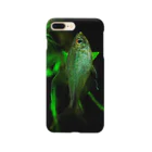 魚飼ゆかい＠ほぼお休み中のHemigrammus filamentosus / male Smartphone Case